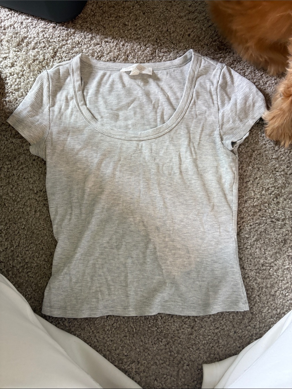 Classic Short Sleeve Scoop Neck Ribbed Top - Light Gray